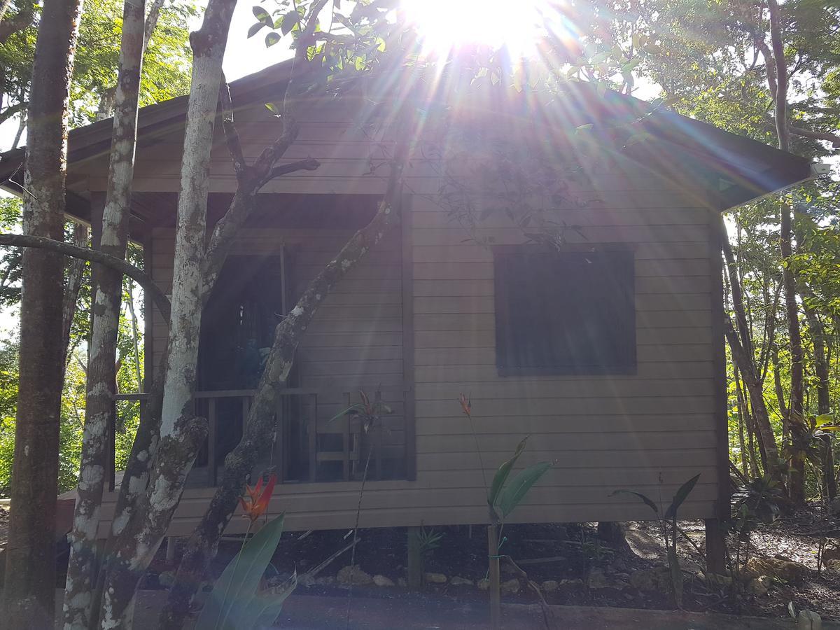 Хостел Hidden Haven Unitedville Экстерьер фото