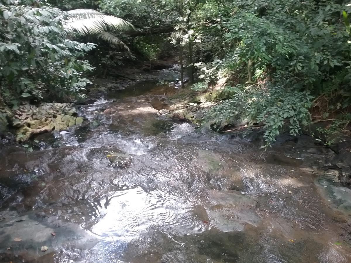 Хостел Hidden Haven Unitedville Экстерьер фото