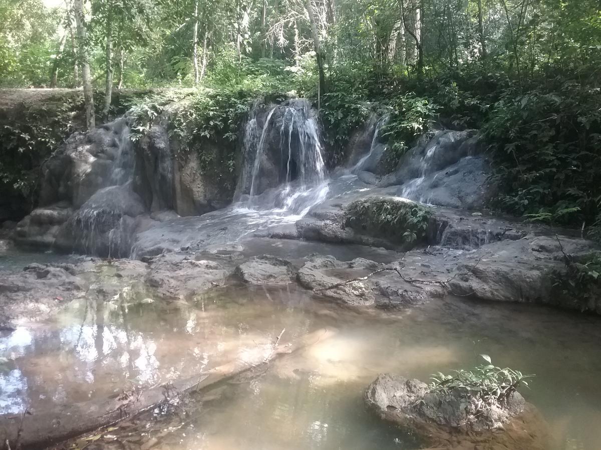 Хостел Hidden Haven Unitedville Экстерьер фото